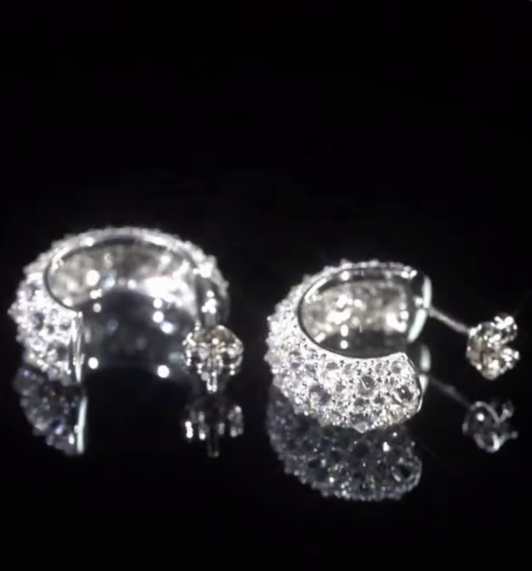 Crusted Moissanite Stone Hoop Earrings