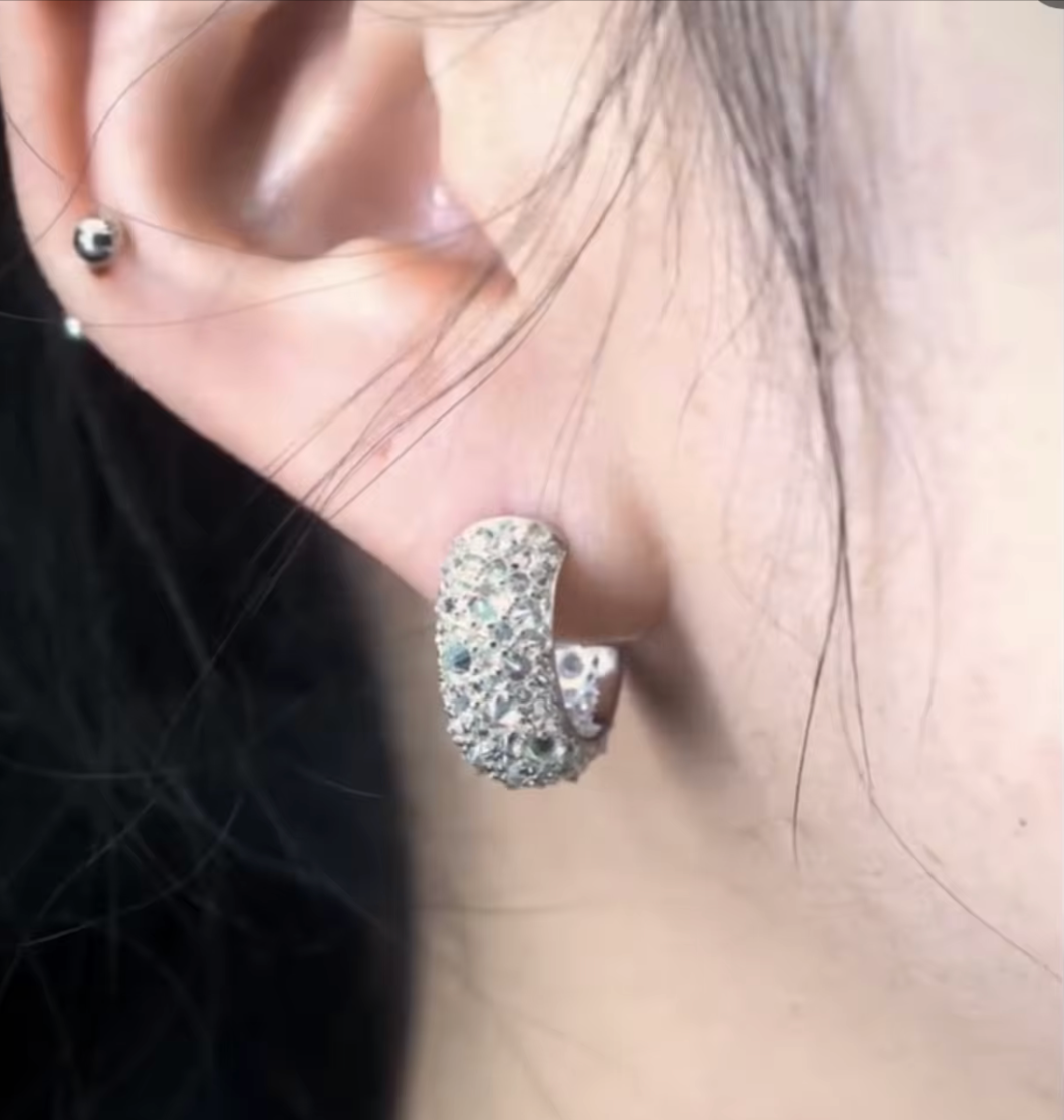 Crusted Moissanite Stone Hoop Earrings