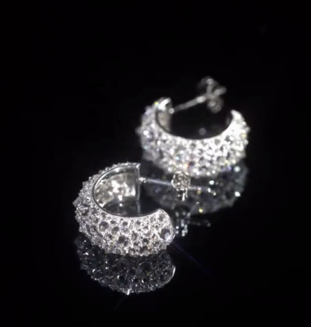 Crusted Moissanite Stone Hoop Earrings